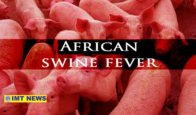 NegOcc maintains ‘very high alert’ against ASF