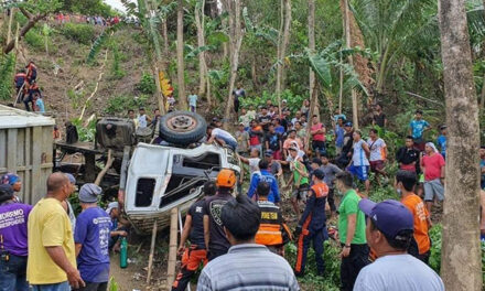 4 cops died, several injured as truck falls off cliff in Iloilo