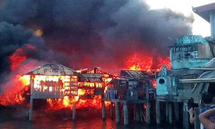 Fire razes 24 houses in Iloilo City