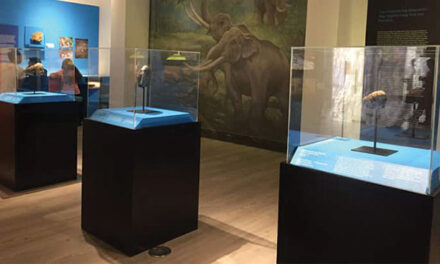 Exploring WV’s geology, prehistoric past