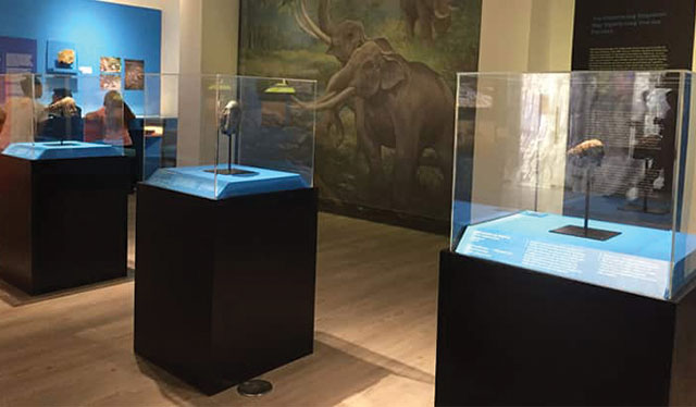 Exploring WV’s geology, prehistoric past