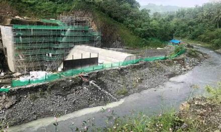 Calinog monitors Korean workers in P11-B dam project
