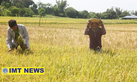 Caravan held to capacitate farmers amid sectoral issues