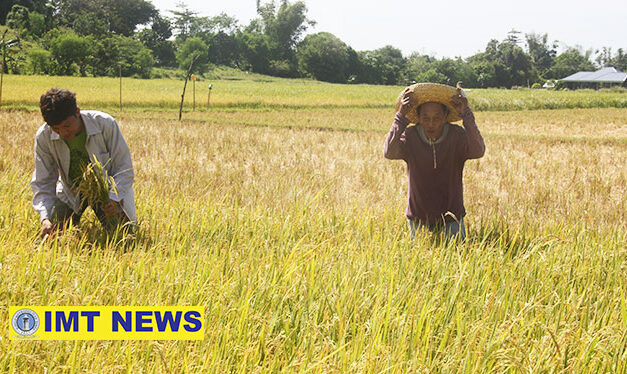 Caravan held to capacitate farmers amid sectoral issues