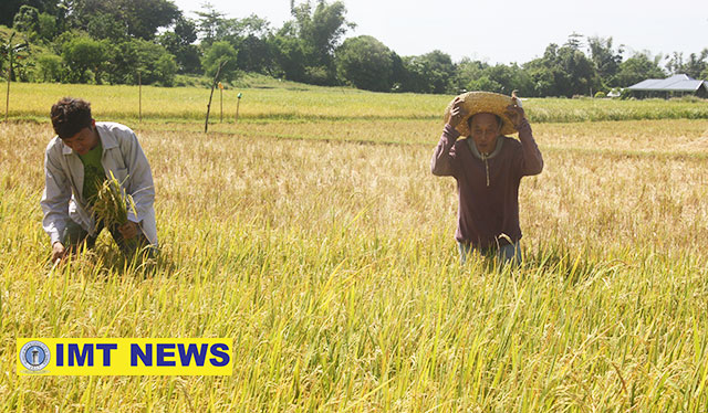 Caravan held to capacitate farmers amid sectoral issues