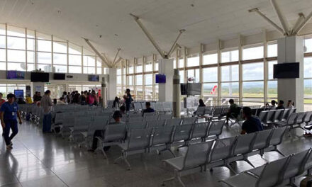 All flights to, from Iloilo suspended for a month