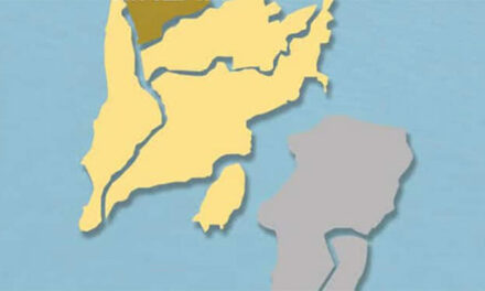 2 more patients recovered from COVID-19 in Western Visayas