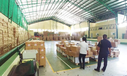 Megaworld to donate 1K liters of disinfectant alcohol, 3K grocery packs to Iloilo City