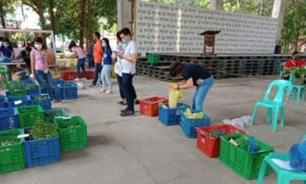 Kadiwa on Wheels to make fruits, veggies available to Iloilo City residents