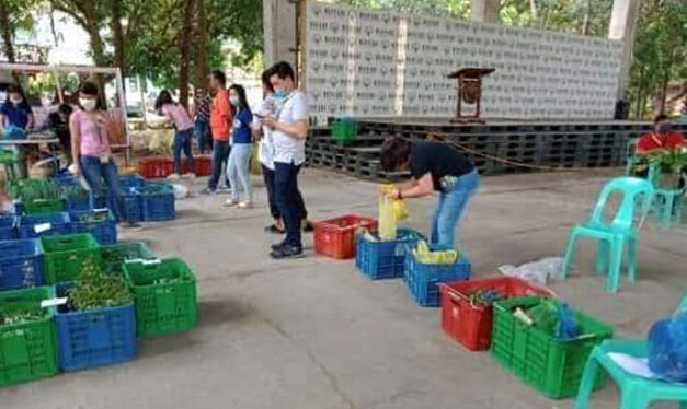 Kadiwa on Wheels to make fruits, veggies available to Iloilo City residents