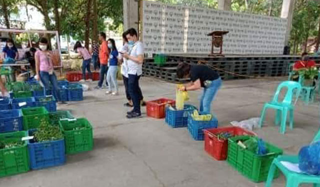 Kadiwa on Wheels to make fruits, veggies available to Iloilo City residents