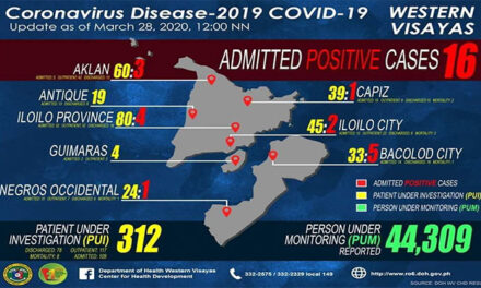 COVID-19 cases in Western Visayas climb to 16