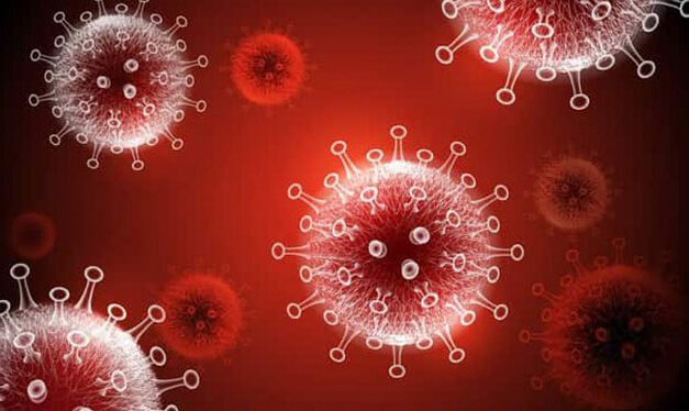 Iloilo province has highest COVID-19 cases in WV