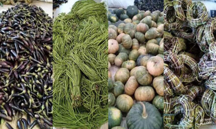 Sara, New Lucena residents receive fresh veggies