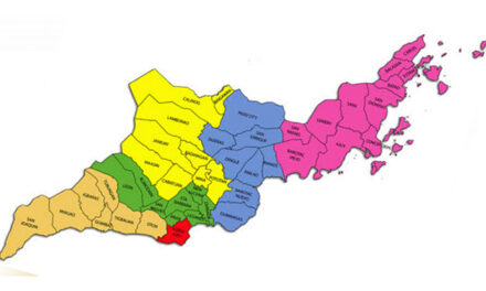 Iloilo province records first COVID-19 survivor