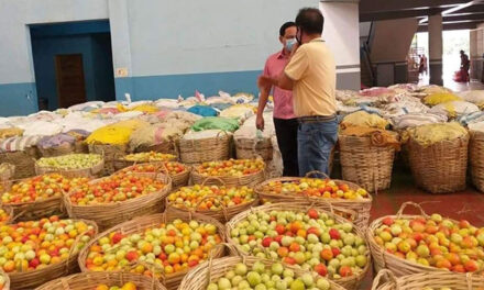 Iloilo’s COVID-19 relief assistance hailed