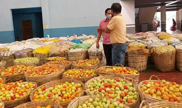 Iloilo’s COVID-19 relief assistance hailed
