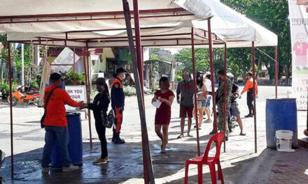 Quarantine passes still needed in Iloilo province