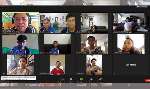 45 taekwondo jins complete MVP’s online training class