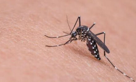 Ilonggos urged to be vigilant vs dengue amid COVID-19 crisis
