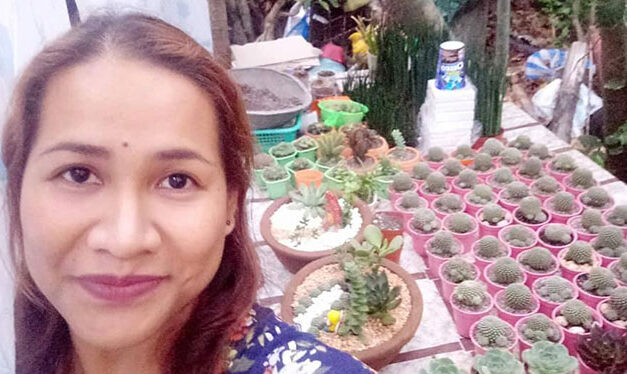 Planting succulents, a hobby that turns tears into smiles