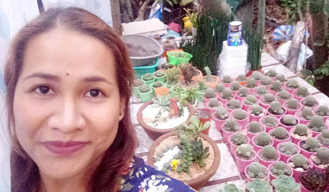 Planting succulents, a hobby that turns tears into smiles