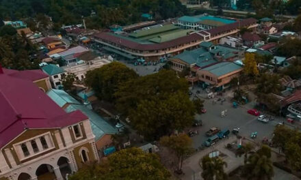 Lone COVID-19 patient in Dumangas recovers