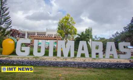 Guimaras logs first local case of COVID-19