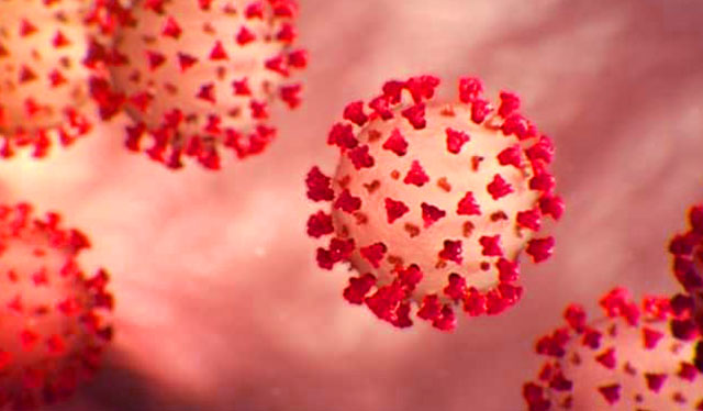 COVID-19 deaths in Iloilo climb to 44