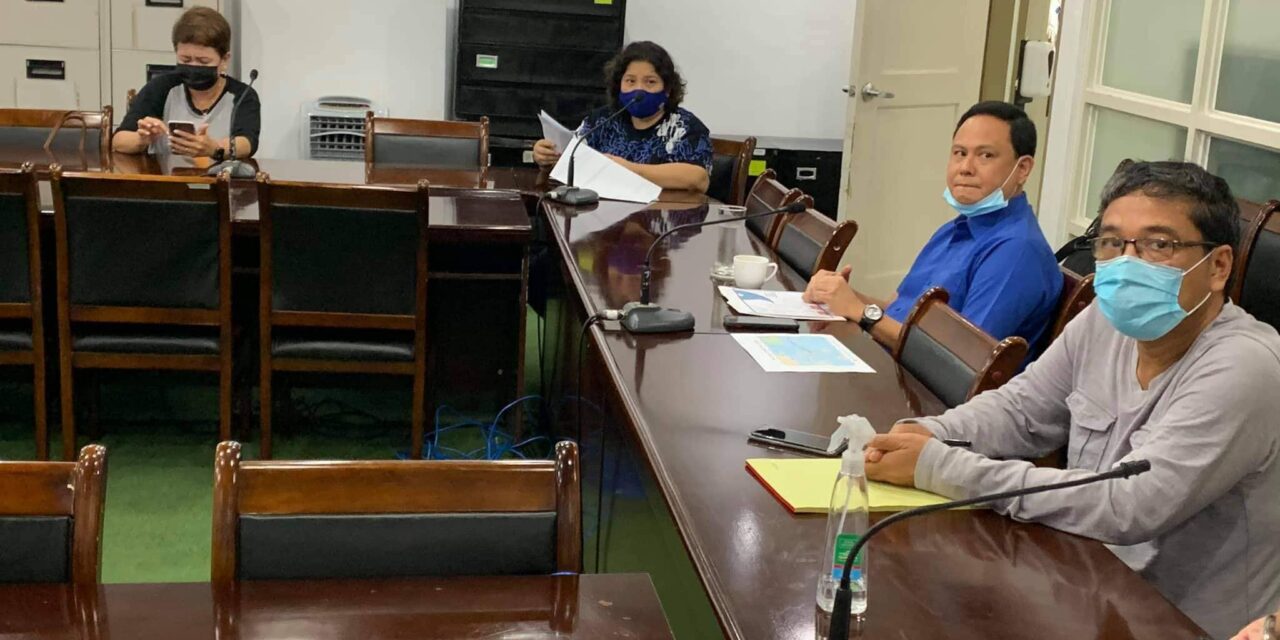 Defensor to Iloilo mayors: Stay alert, coordinated