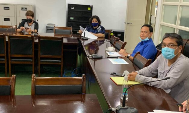 Defensor to Iloilo mayors: Stay alert, coordinated