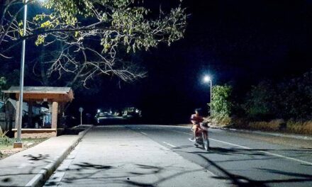 248 solar streetlamps illuminate Concepcion