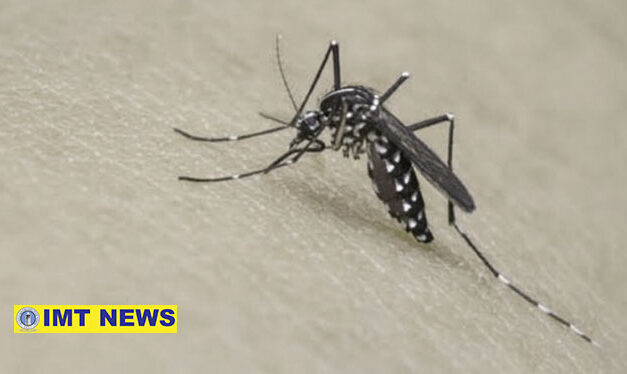 Dengue cases down by 97% in Iloilo province