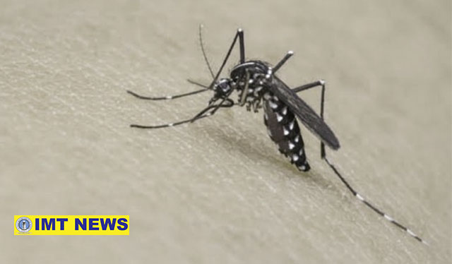 Dengue cases down by 97% in Iloilo province