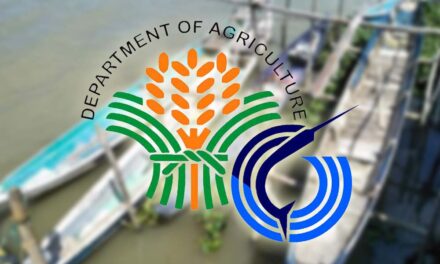 Visayan Sea closed season starts Nov. 15