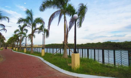 Iloilo City Hall, partners to plant mangroves at new Esplanades