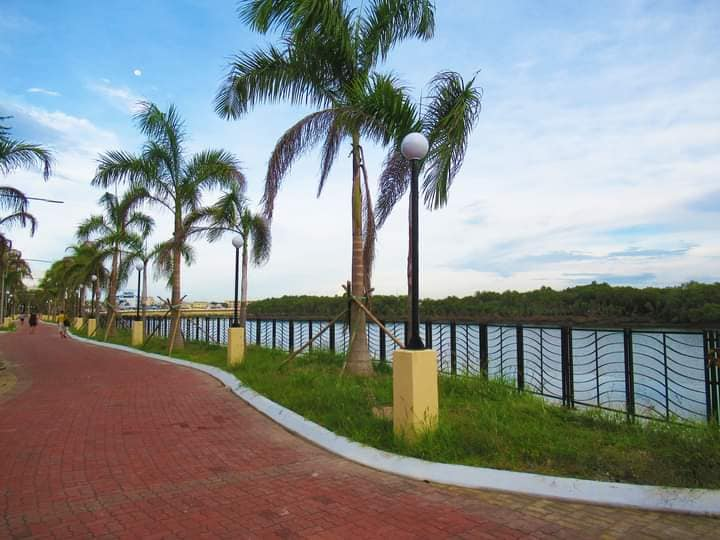 Iloilo City Hall, partners to plant mangroves at new Esplanades