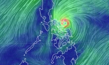 No casualties, damage reported in Iloilo due to Rolly