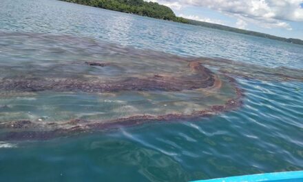 Oil spill-affected fishermen in Guimaras start receiving compensation