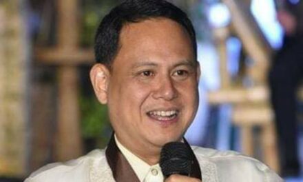 Defensor mulls turning fishers into tourist guides