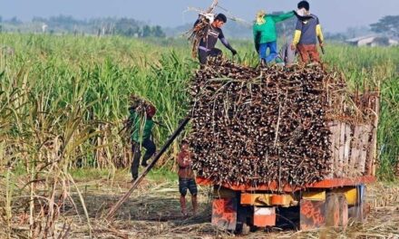 Sugar industry performing well amid pandemic: SRA exec