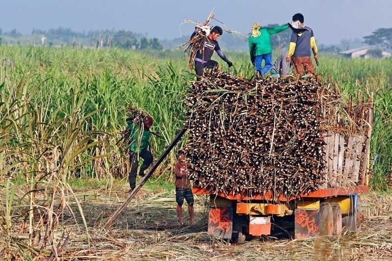 Sugar industry performing well amid pandemic: SRA exec