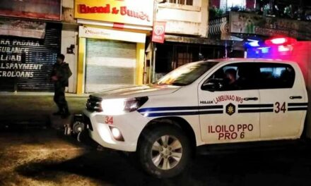 Crimes in Western Visayas down by 28%