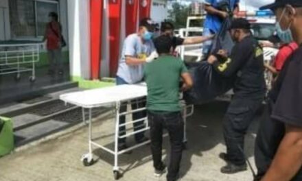 9 dead, 17 arrested in ops vs Reds in Iloilo, Capiz