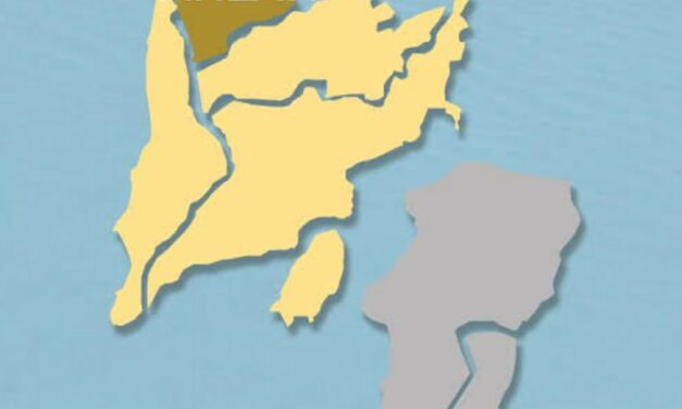 COVID-19 deaths in Western Visayas now over 660