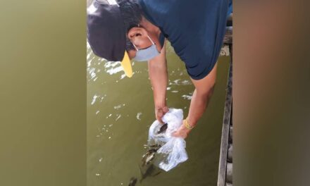 400 juvenile fishes for Iloilo River