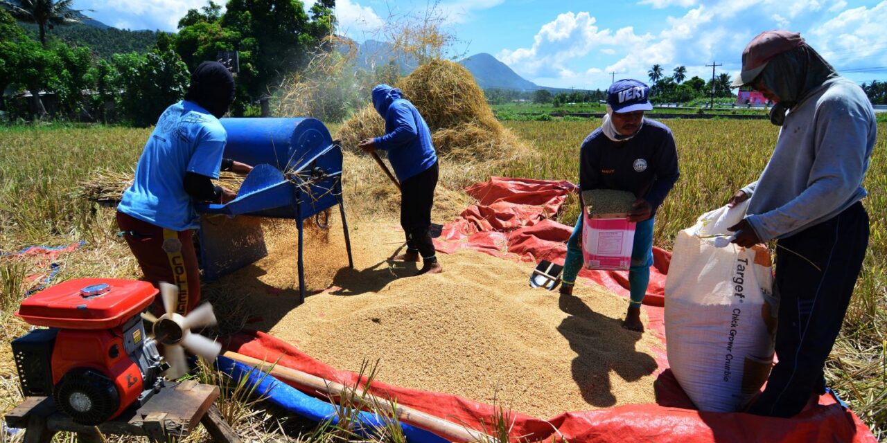 DA eyes bigger rice production in 2021