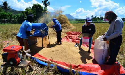 DA eyes bigger rice production in 2021
