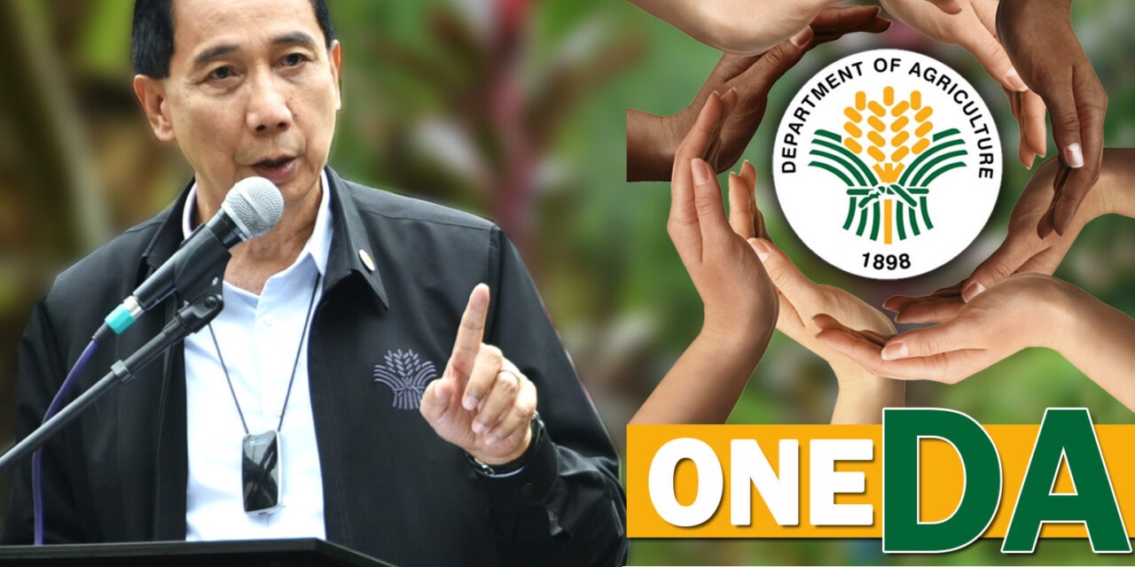 DA lines up key strategies to steer agri-fishery growth and transformation in 2021