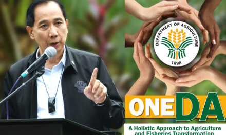 DA lines up key strategies to steer agri-fishery growth and transformation in 2021